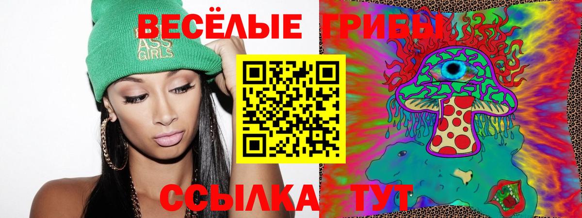 Псилоцибиновые грибы GOLDEN TEACHER  Вход с VPN  Киселёвск  Псилоцибиновые грибы Psilocybine cubensis 